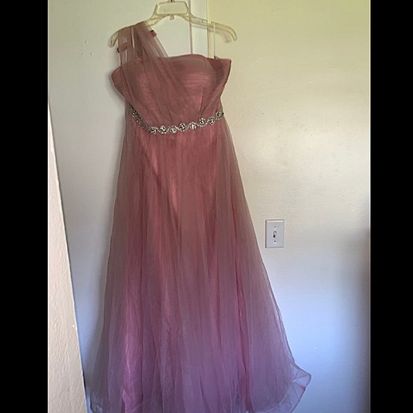 Plus size Dusty Pink Sheer Lace and Tulle Ball Gown - Picture 4 of 12